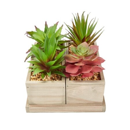 Nature Spring Nature Spring Set of 4 Faux Succulent Plants 991234GNG